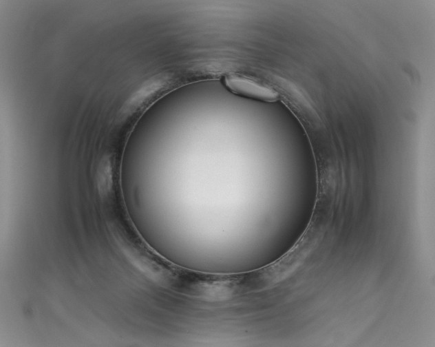 X0000111430120200907131231