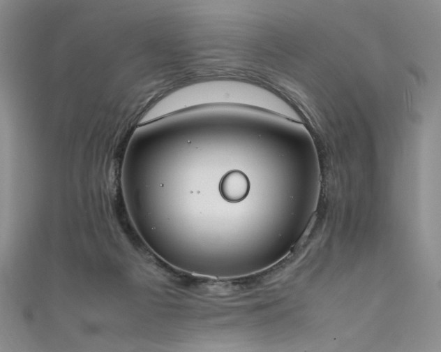 X0000111430121200907131231