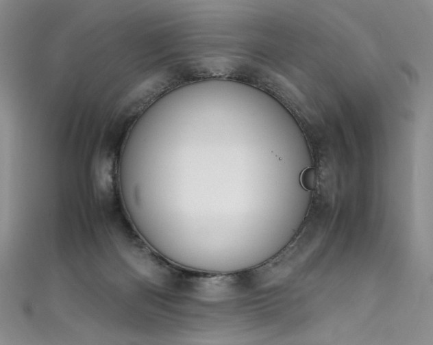 X0000111430122200907131231