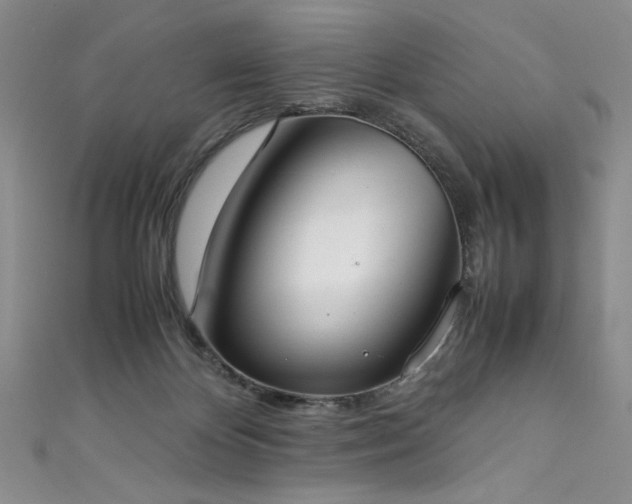 X0000111430124200907131231