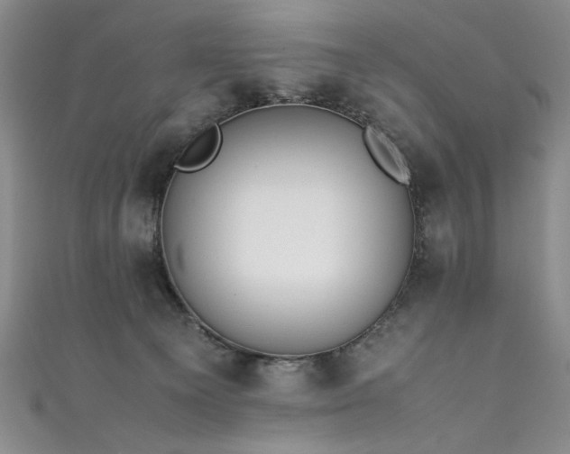 X0000111430129200907131231