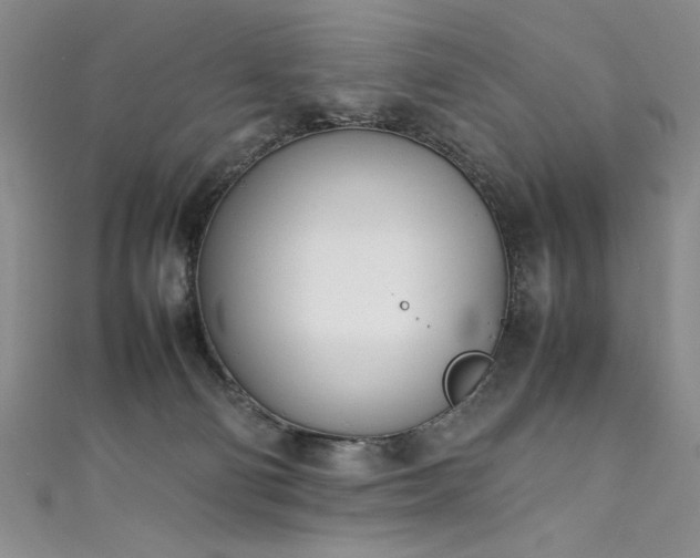 X0000111430130200907131231