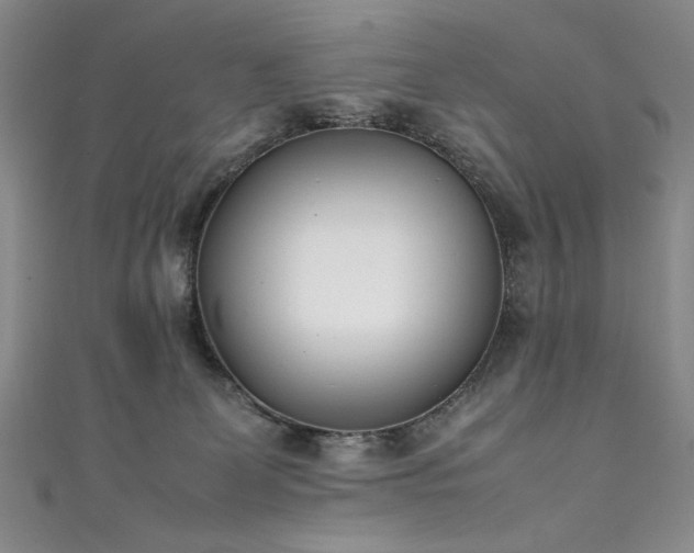 X0000111430131200907131231