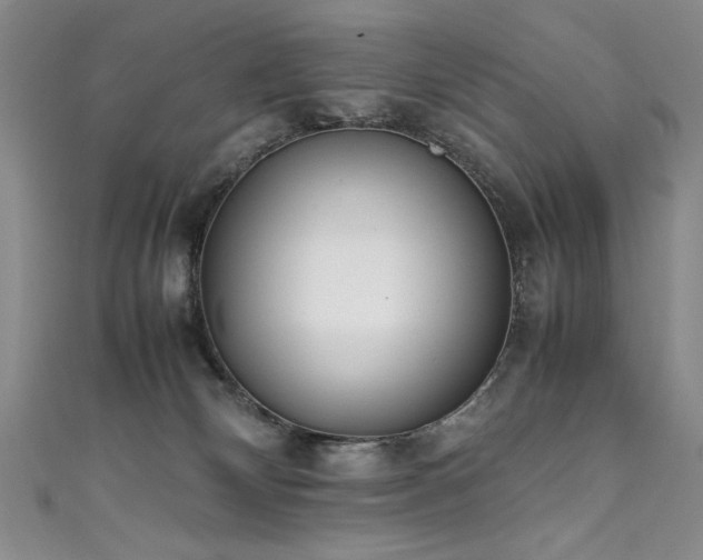 X0000111430132200907131231