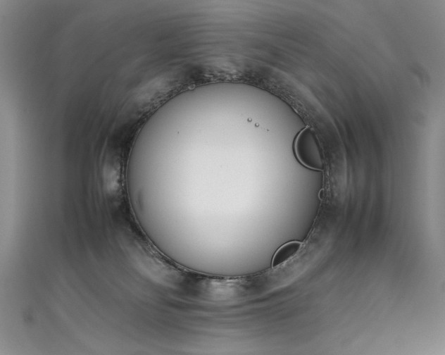 X0000111430134200907131231