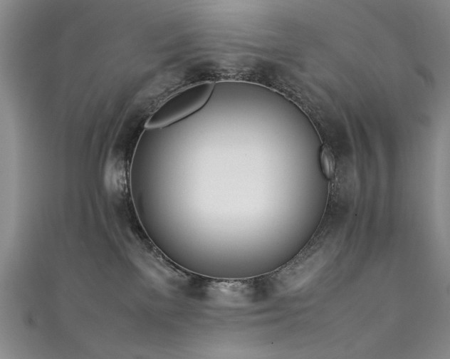 X0000111430137200907131231