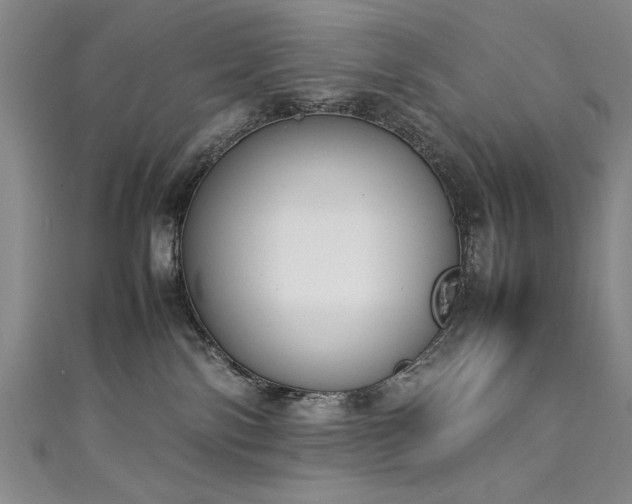 X0000111430138200907131231