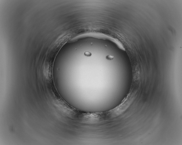 X0000111430140200907131231