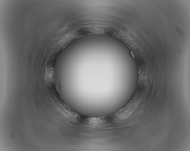 X0000111430141200907131231