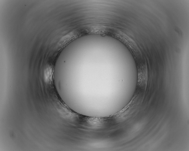 X0000111430142200907131231