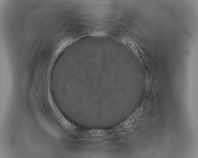 X0000111430145200907131230