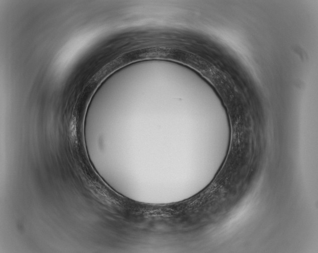 X0000111430146200907131230