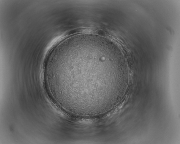 X0000111430149200907131230