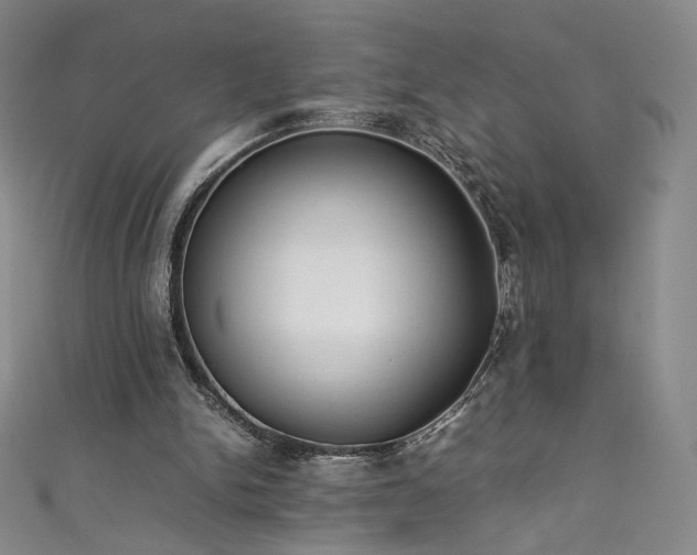 X0000111430150200907131230