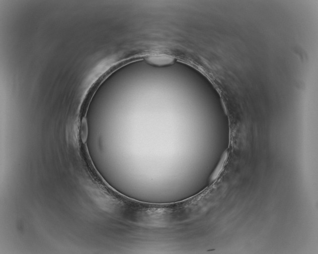 X0000111430152200907131230