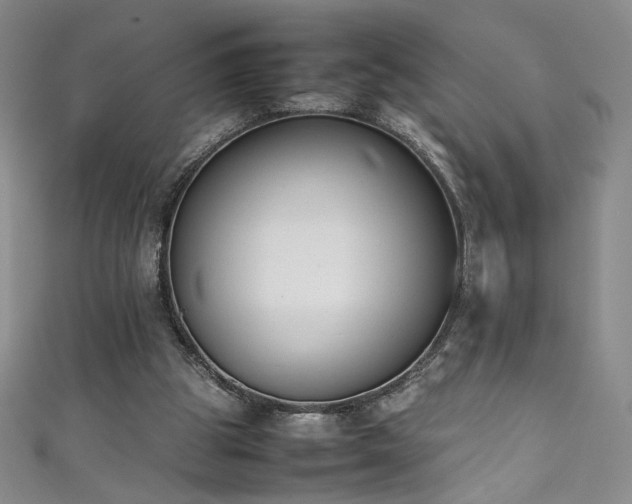 X0000111430153200907131230