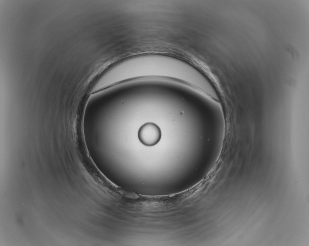 X0000111430154200907131230