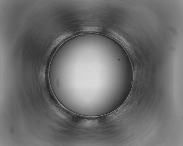 X0000111430155200907131230