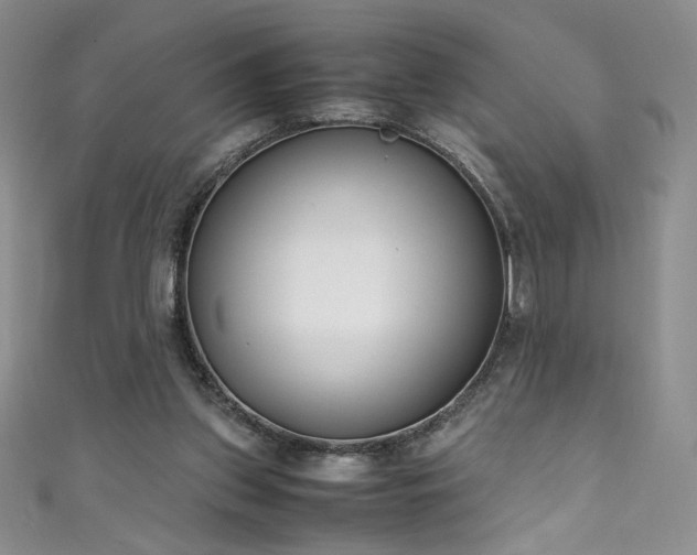 X0000111430157200907131230