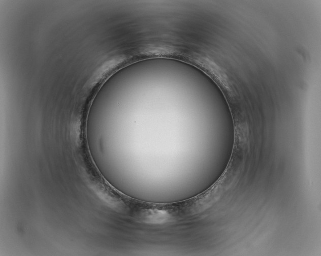 X0000111430159200907131230