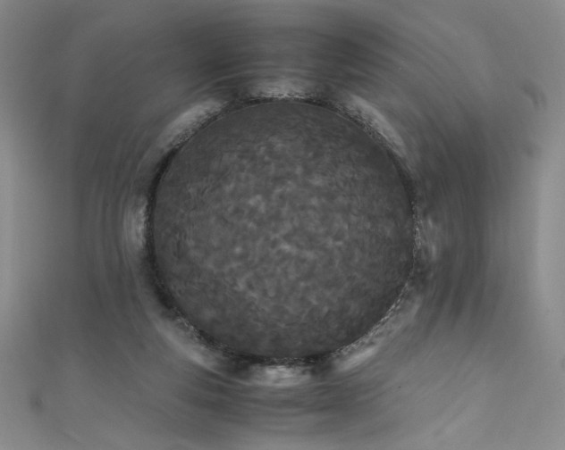 X0000111430163200907131230