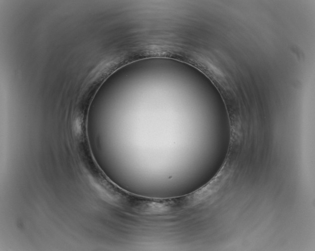 X0000111430166200907131231