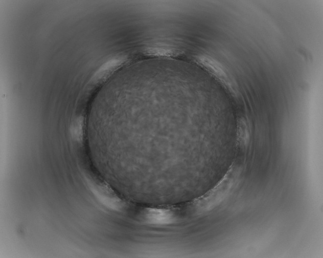 X0000111430167200907131231