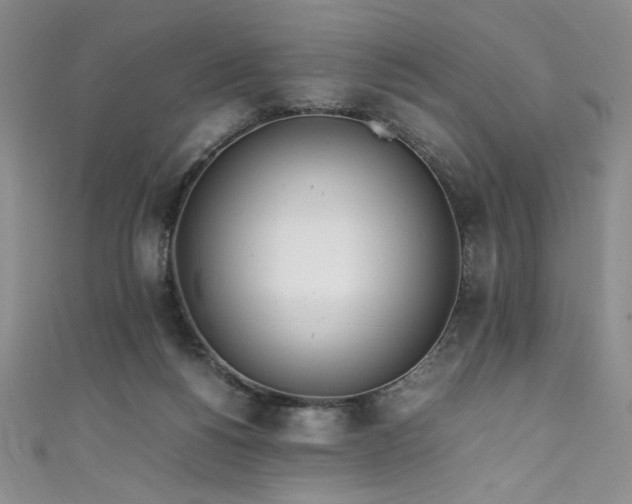 X0000111430168200907131231