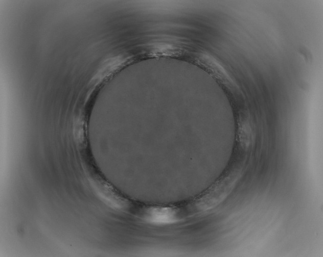 X0000111430169200907131231