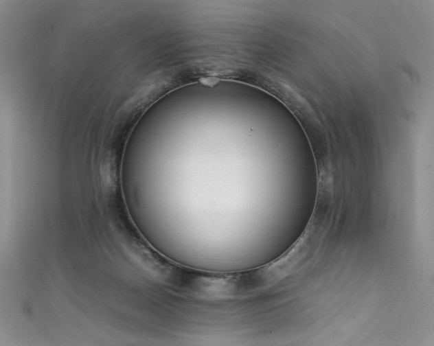 X0000111430170200907131231