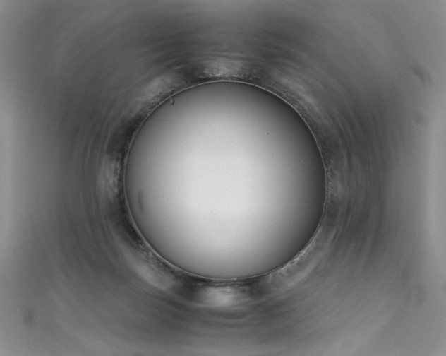 X0000111430171200907131231