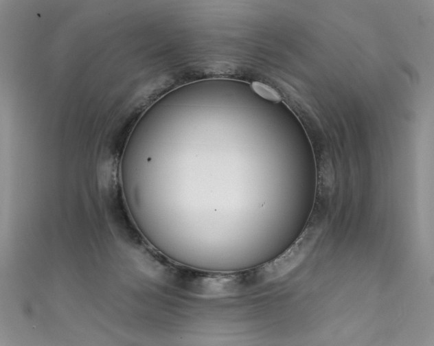 X0000111430172200907131231