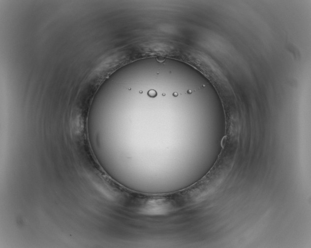 X0000111430173200907131231