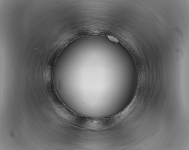 X0000111430174200907131231