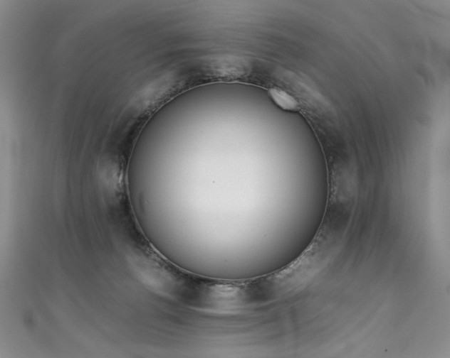 X0000111430176200907131231