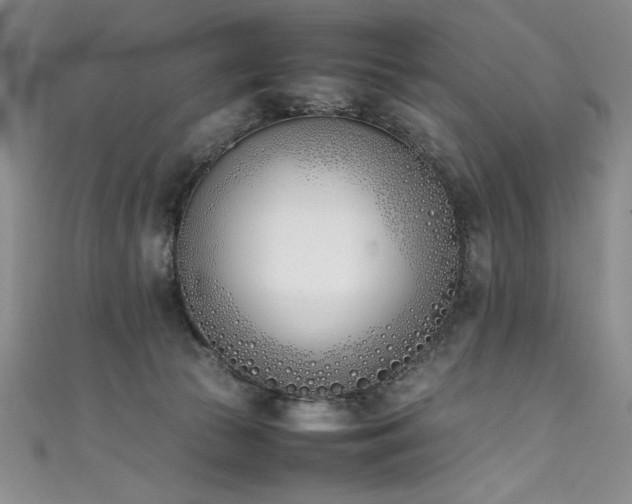 X0000111430177200907131231