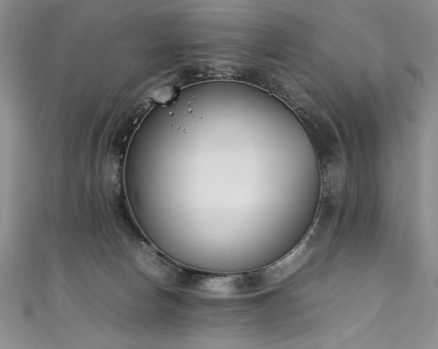 X0000111430178200907131231