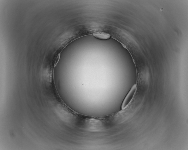 X0000111430180200907131231