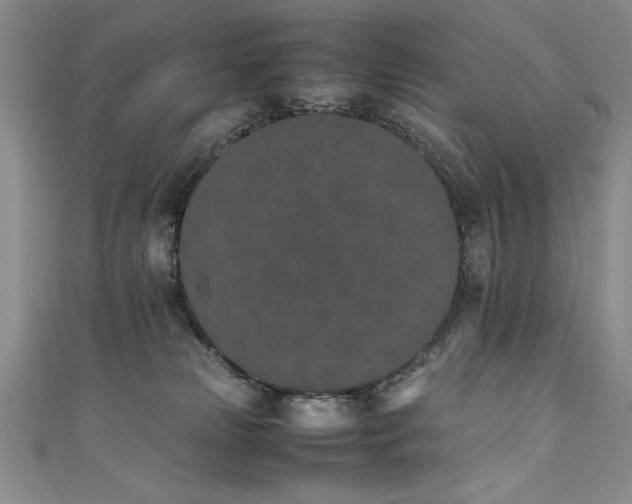 X0000111430181200907131231