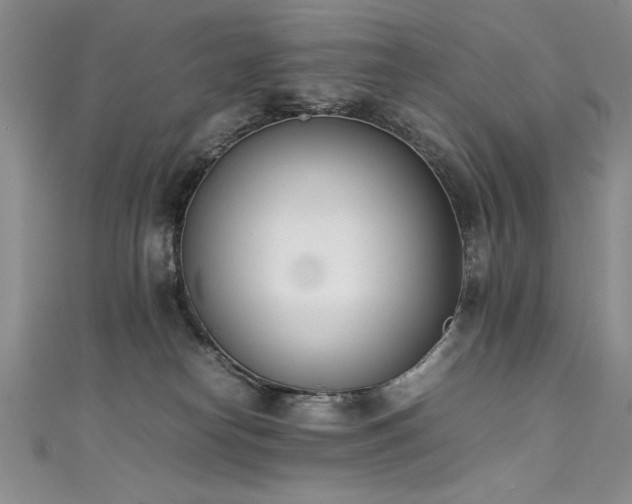 X0000111430182200907131231