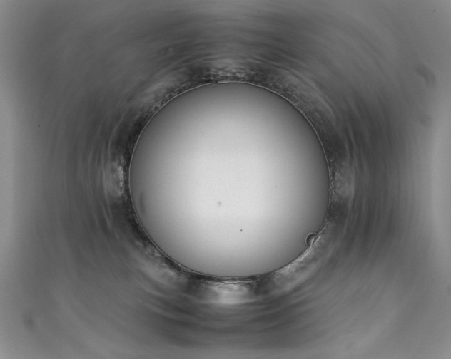 X0000111430183200907131231