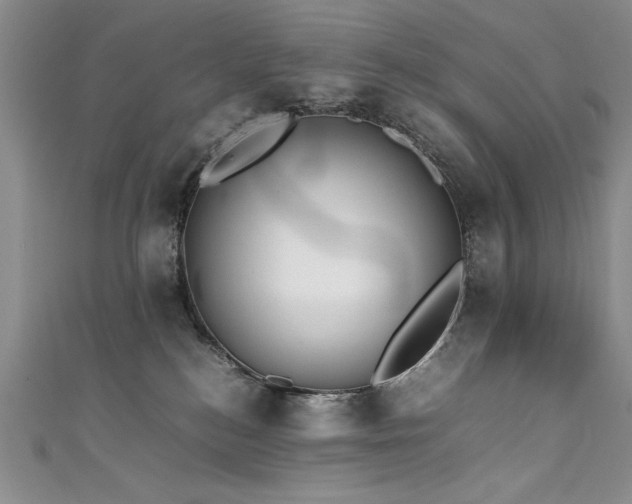 X0000111430184200907131231