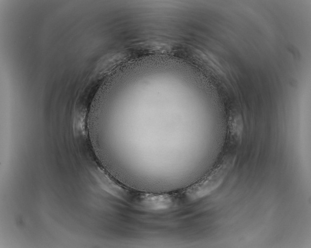 X0000111430185200907131231