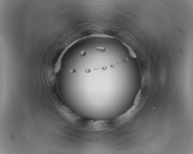 X0000111430186200907131231