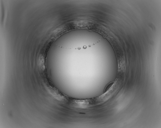 X0000111430187200907131231