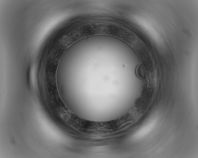 X0000111430189200907131231