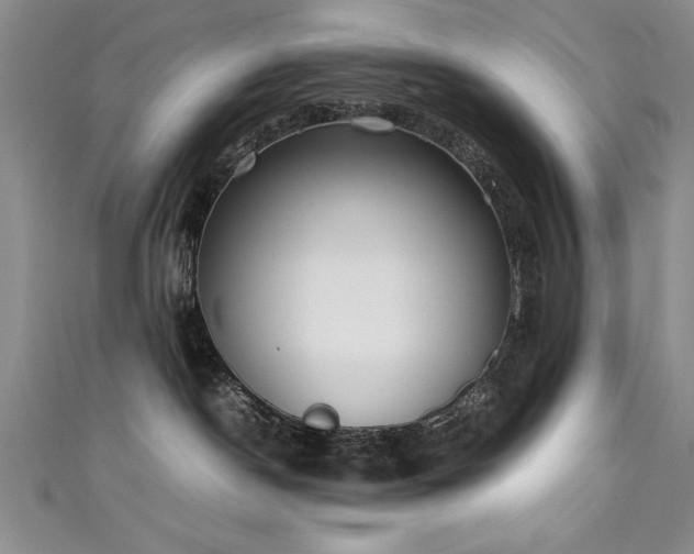 X0000111430190200907131231