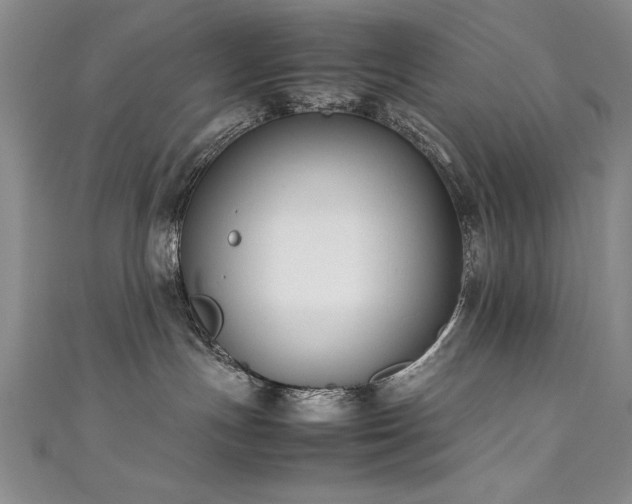 X0000111430191200907131231