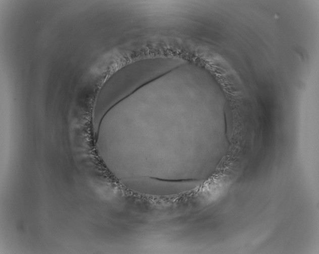 X0000111430192200907131231