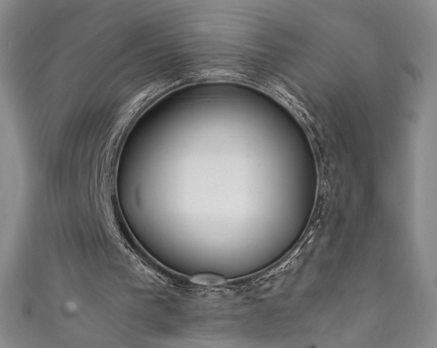 X0000111430193200907131230